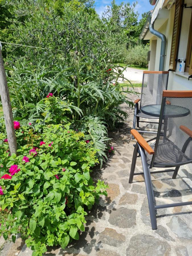 Apartma Istra Zora Sečovlje Extérieur photo