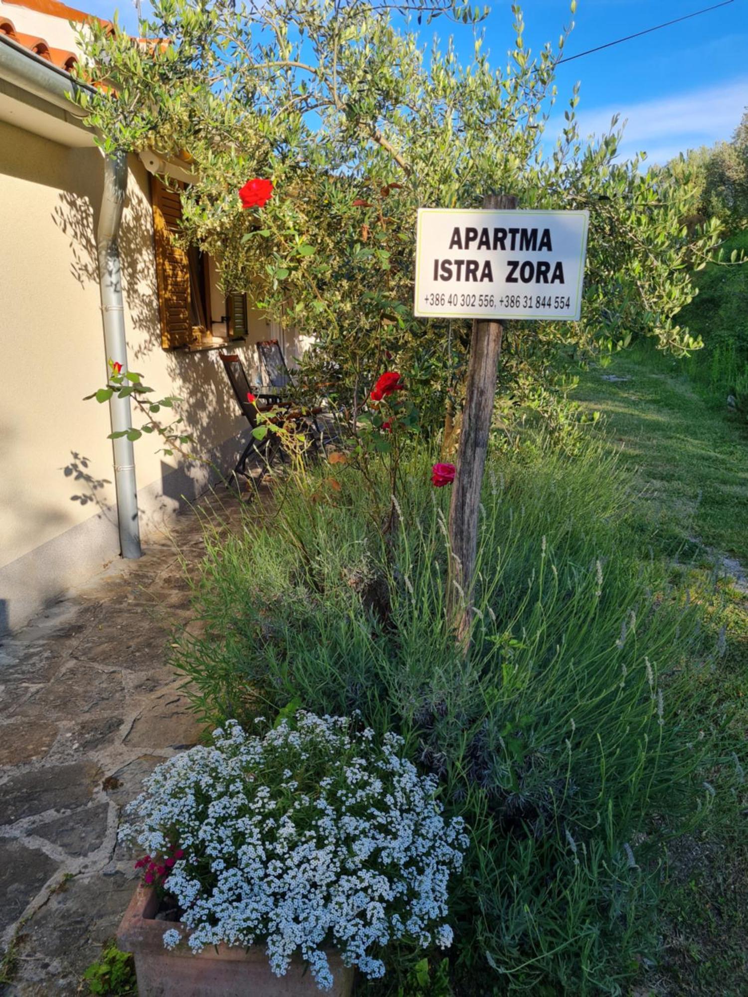 Apartma Istra Zora Sečovlje Extérieur photo