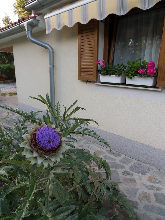 Apartma Istra Zora Sečovlje Extérieur photo