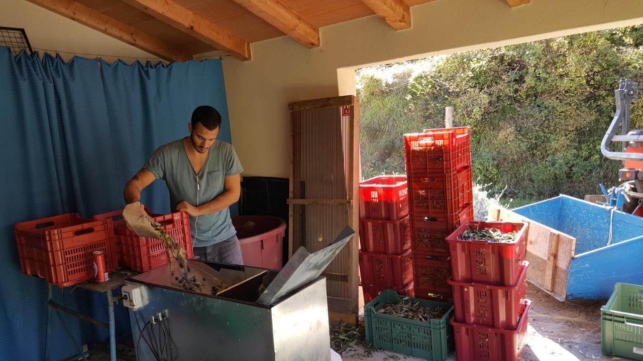 Apartma Istra Zora Sečovlje Extérieur photo